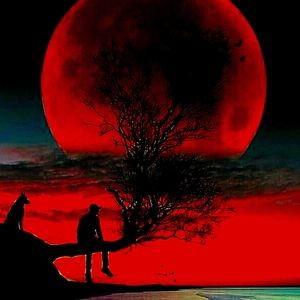 Meet your Posher, Johnathan